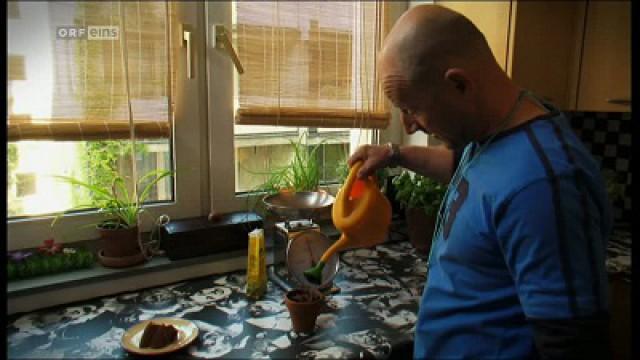 Paradies 8