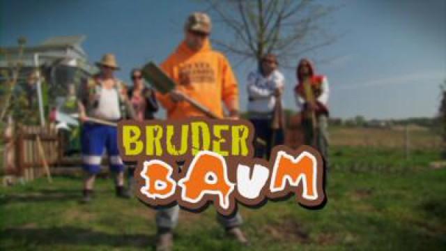 Bruder Baum