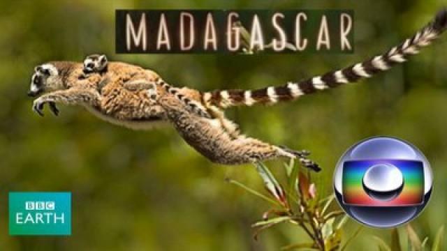 Ilha de Madagascar