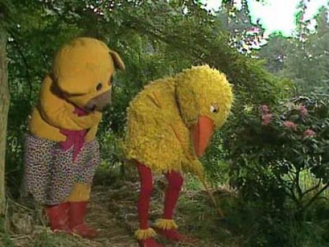 Bamse og Kylling flytter hjemmefra
