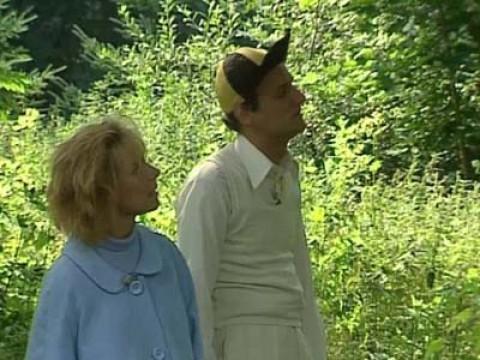 Man skal passe på de vilde dyr