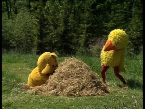 Bamse og Kylling har fat i hver sin ende