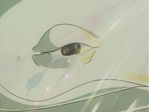 Le lacrime della balena bianca