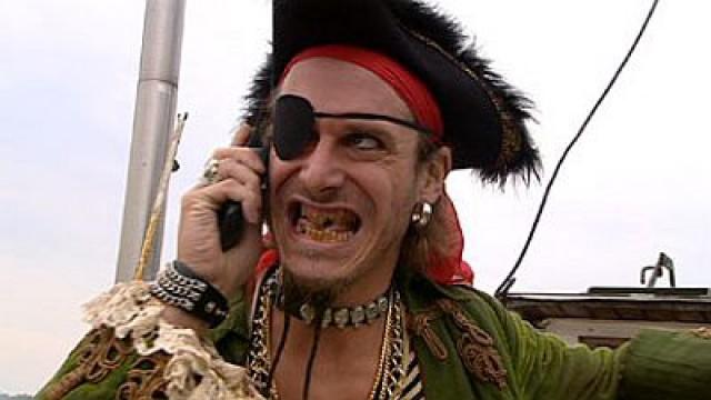 Der Piratenpapagei