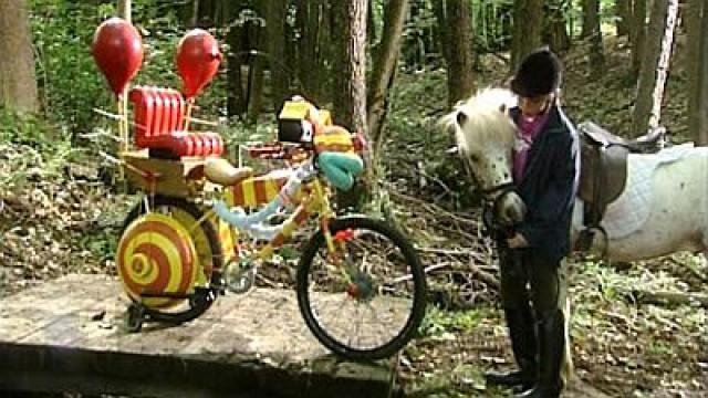 Was ist los am Ponyhof