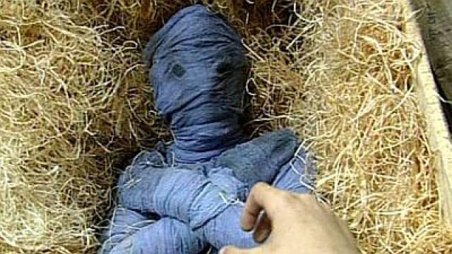 Die blaue Mumie