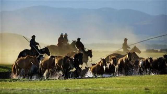 Planet der Menschen - Grasland – Die Wurzeln unseres Erfolges