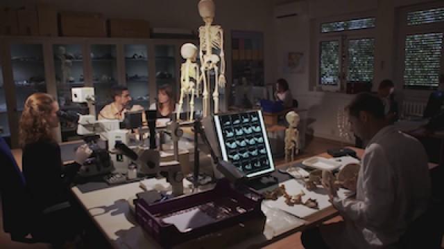 Das dunkle Geheimnis der Neandertaler