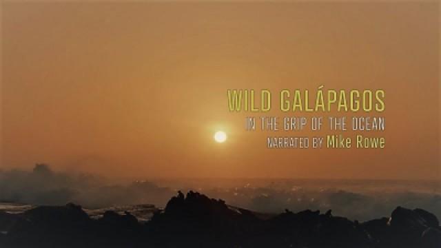 Galapagos - Die Macht des Meeres