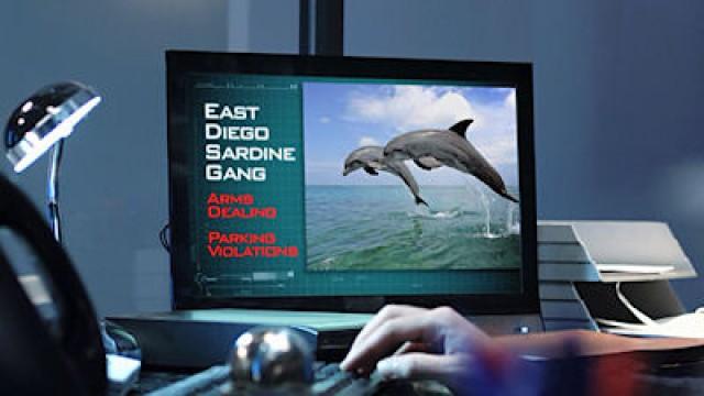 Dolphinnegan's Wake