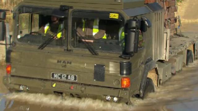 Welcome to the Wolfhound