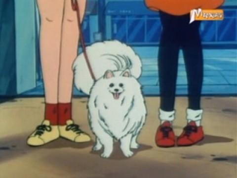 Episode 09