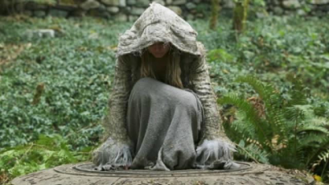 The Dark Swan