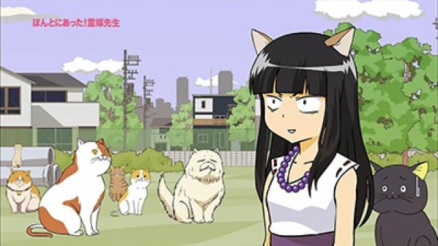 King of Cats