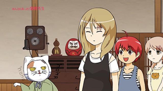 Mt. Cat