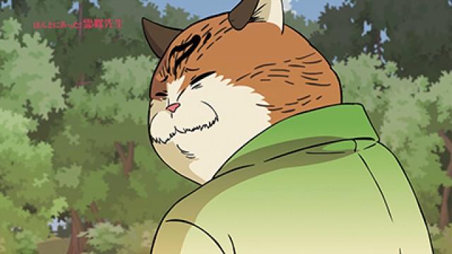 Mt. Cat, Continued