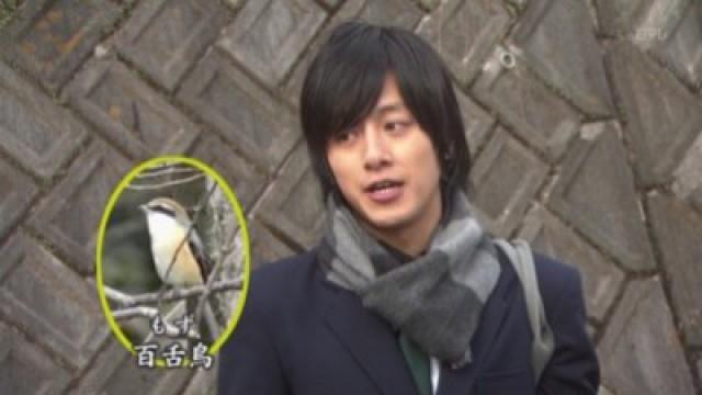 Challenge to Kudo Shinichi: Riddle of the Mysterious Legendary Bird