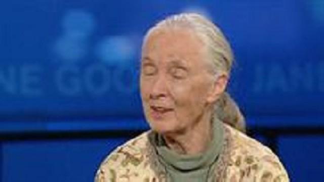 Dr. Jane Goodall & Evan Sneider