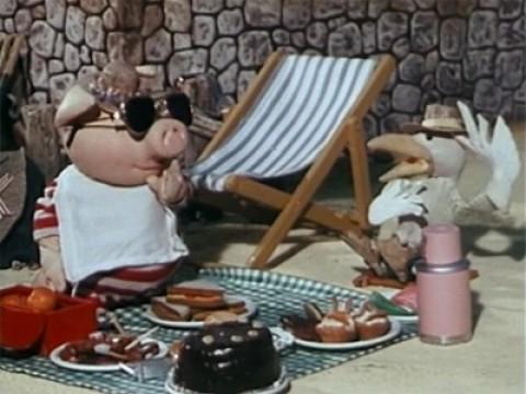 Huxley Pig at the Beach