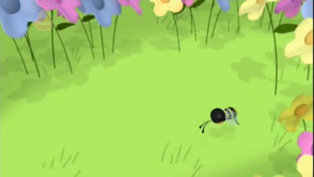 The Flowers