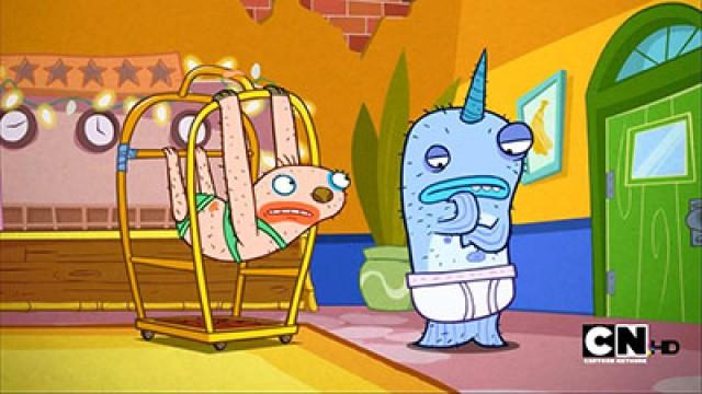 Narwhal's Contest