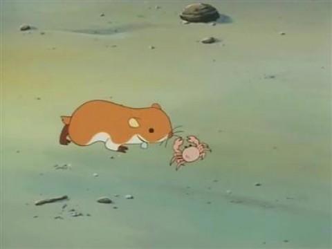 可愛いヤツ