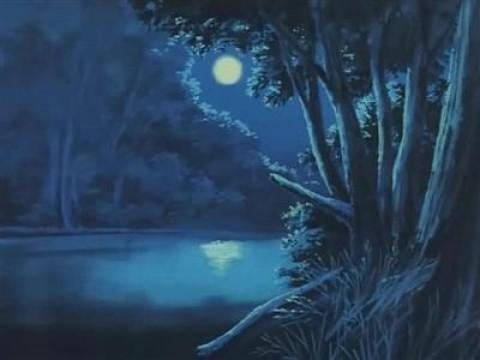 アデレードの夜