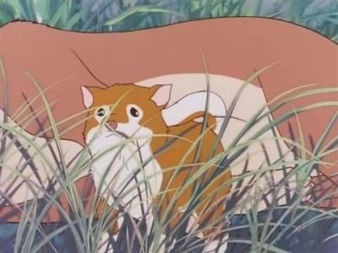 レンガとディンゴの子