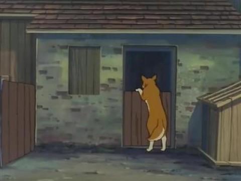 トブが消えた