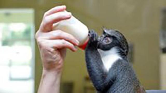 Rhea bekommt ihr Fläschchen (#320)