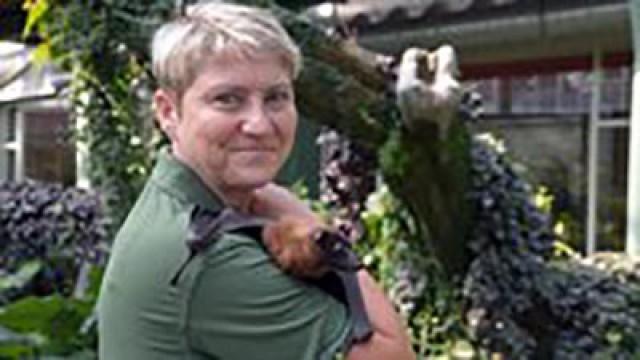 Tiger Alisha und Dragan sind zurück (#327)