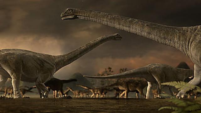 New Giants