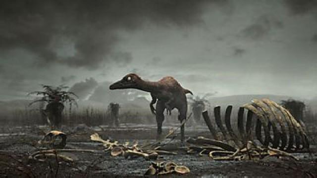 The Great Survivors