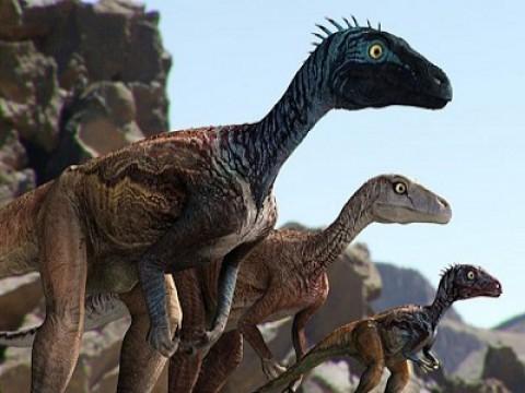 I campioni dell'evoluzione