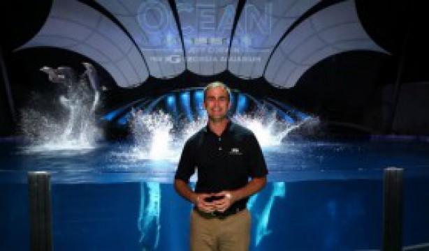Dolphin Tales Part 1