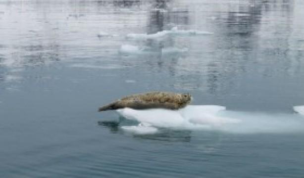 Seals of Approval