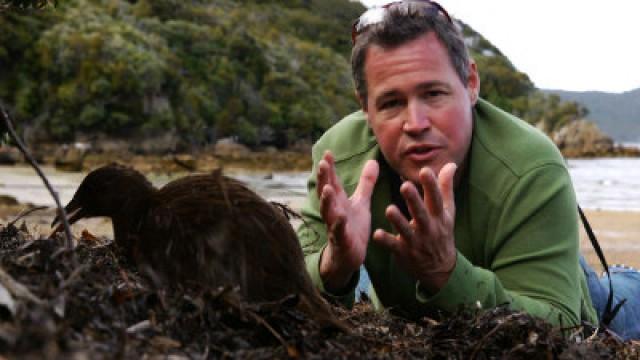 Best of Adventure New Zealand