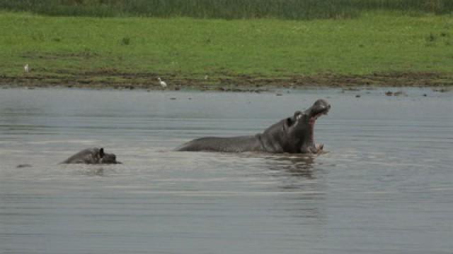 The Okavango Delta