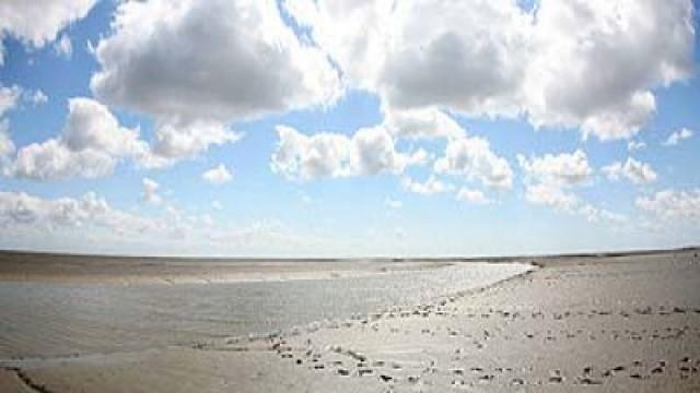 Der Ruf der Nordsee