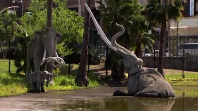 Smilodon, Boeing B-29 Superfortress  "Bockscar", Cardiff Giant, Train Disaster, Roswell UFO Crash, George Washington's Dentures