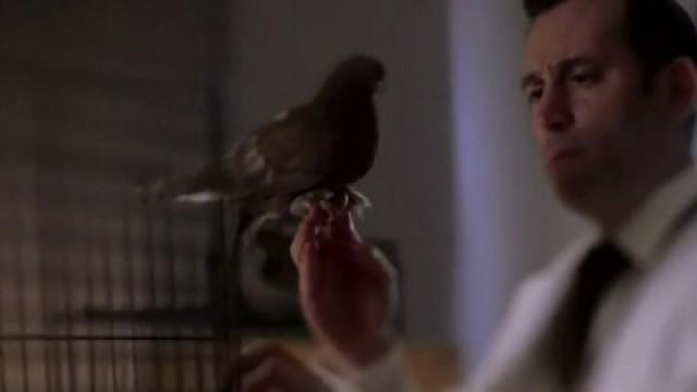The Brooklyn Enigma, L.A. Shootout, Roulette Computer, Project Pigeon, Equitable Building Fire, Spanish Flu