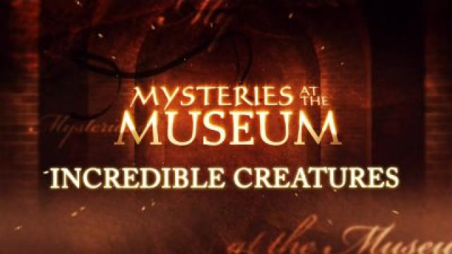 Incredible Creatures