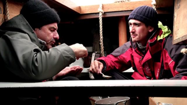 Race to the Antarctic