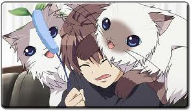 Same-Colored Couple