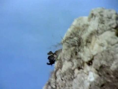 El águila perdicera I