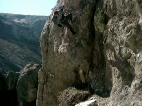 Los últimos buitres de Europa II