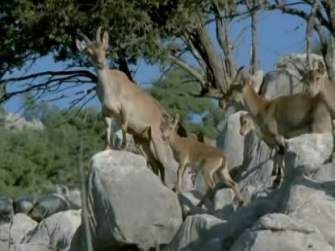 Las sierras de Cazorla y Segura I