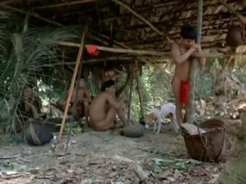 Un campamento en la selva virgen