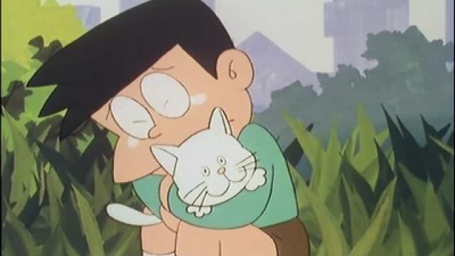 Buscando casa para el gatito