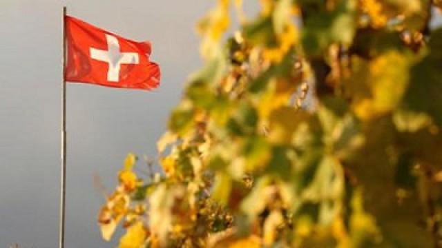 Die Weinterrassen des Lavaux - Verwöhnt von drei Sonnen (Schweiz)